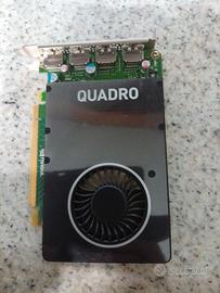 scheda video quadro m2000 ddr5 4GB