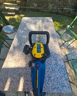 decespugliatore a motore Einhell