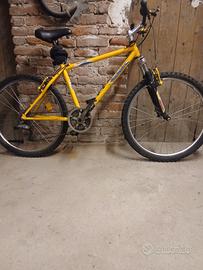 bici varie 30 euro 