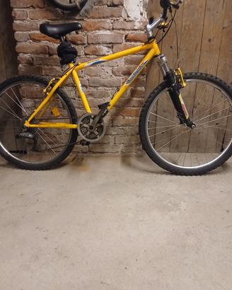 bici varie 30 euro 
