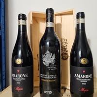 vino Amarone Premium Zyme Allegrini 