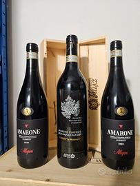 vino Amarone Premium Zyme Allegrini 