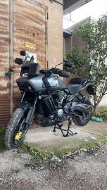 Pan America 1250 Special 