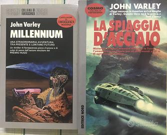 John Varley: Millennium, La spiaggia d'acciaio, 2v