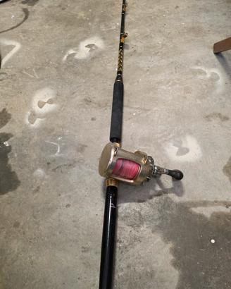 Combo mulo Tica 30wts 2s canna normic 30lb