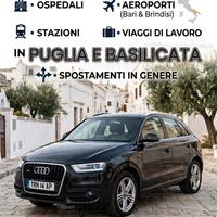 autista/accompagnatore 
