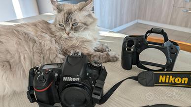 Fotocamera reflex Nikon D750 FX - 900 foto