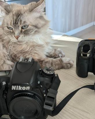 Fotocamera reflex Nikon D750 FX - 900 foto