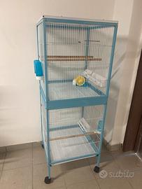 Voliera- gabbia uccelli