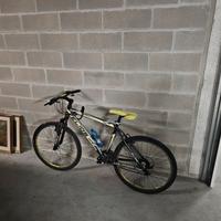 Mountain bike 