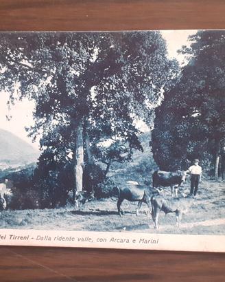 cartoline 
