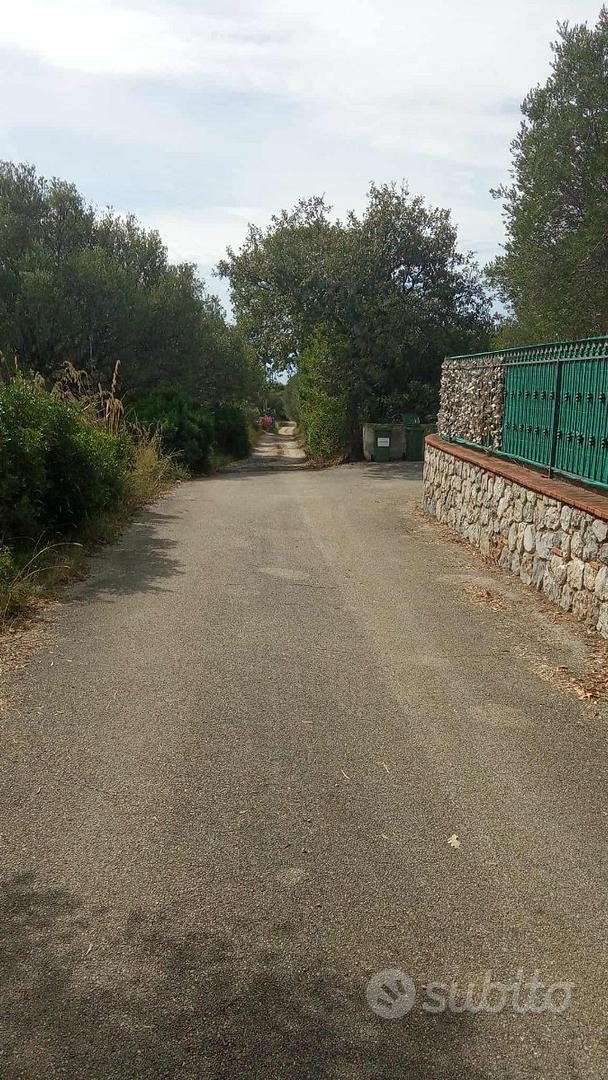Terreno taglio strada 350metri da ferramenta leo - Vista 3