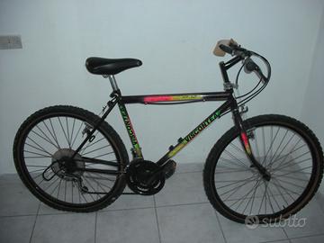bicicletta 