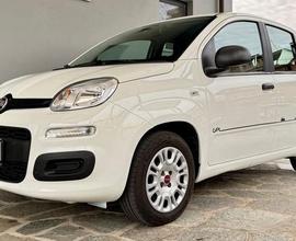 FIAT Panda 1.2 Easy GPL