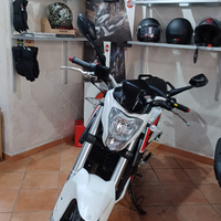 Benelli bn 251