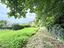 Immagine 29