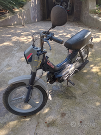 Califfone in buone condizioni in un