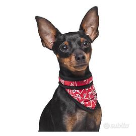 Bandana rinfrescante per cani  taglie xxs/xs