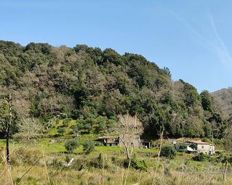 Casale con Terreno 