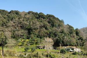 Casale con Terreno 