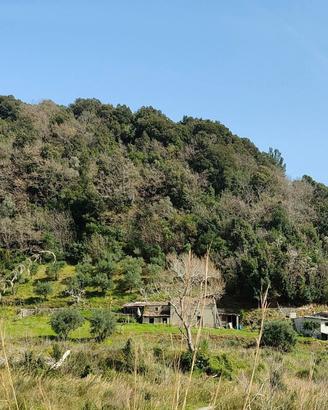 Casale con Terreno 