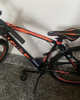 Bicicletta