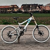 Giant glory DH1
