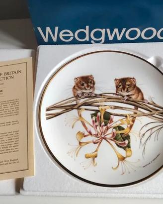 Piatto Topini. Porcellana inglese Wedgwood.