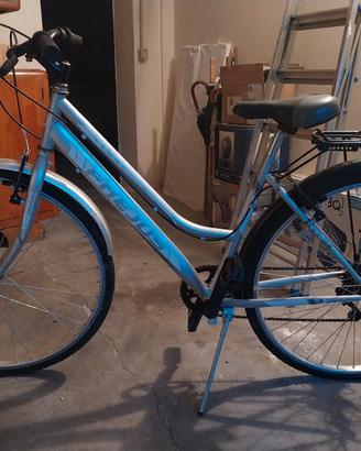 bicicletta donna 