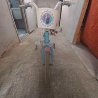 bici frozen
