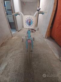 bici frozen