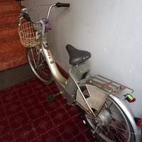 Bicicletta elettrica marmotta