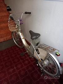 Bicicletta elettrica marmotta