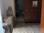 Immagine 7