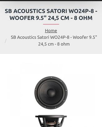 woofer da 25 cmm
