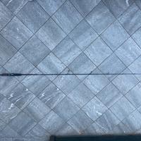 Canna da pesca DAIWA