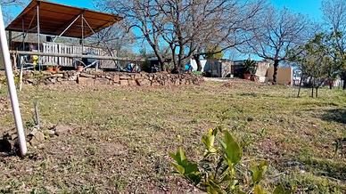 Terreno agricolo