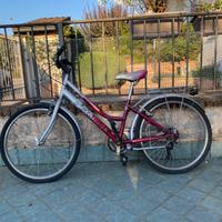 Bici ragazza marca Vertek