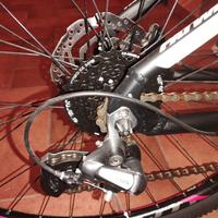 Mountain bike adulto Whistle 