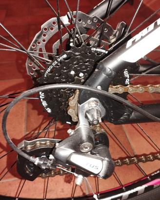Mountain bike adulto Whistle 
