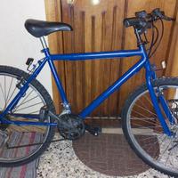 Mountain bike ruote 26".