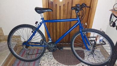 Mountain bike ruote 26".