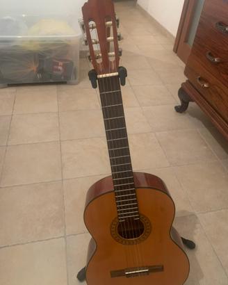 Chitarra Privada MP 12 + custodia + piedistallo