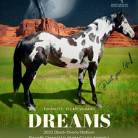 Stagione di Monta 2026