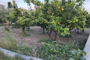 Terreno con rustico