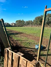Terreno agricolo