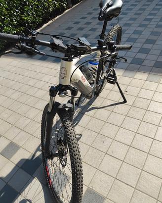 olmo e vag bicicletta  elettrica 