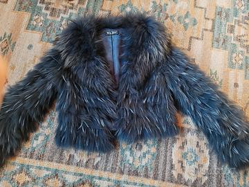 Pelliccia raccoon blu