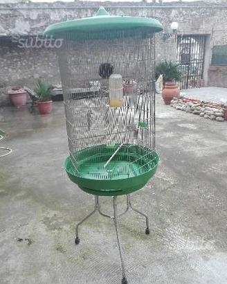 Voliere