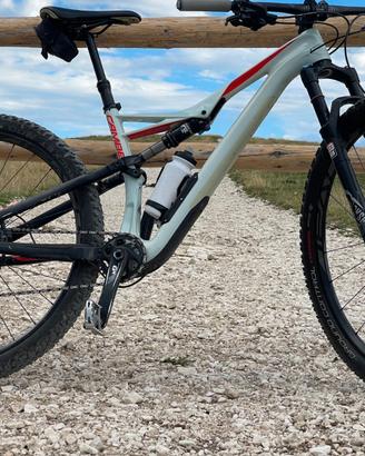 CAMBER COMP CARBON 29